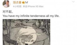 圈内爆料王嘉尔八卦,揭秘明星背后的真实生活与情感纠葛